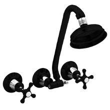 Noosa Directional Gooseneck Shower & Tap Set